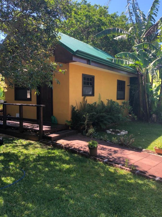 Bed and Breakfast Airport Rio Segundo Studio Алахуэла Экстерьер фото